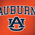 Auburn University AU Orange Dell Latitude Skin