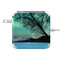 StockTrek Aurora Borealis over a lake in Norway 85W Power Adapter (15 and 17 inch MacBook Pro Charger) Skin