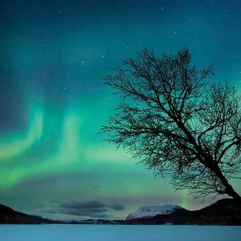 StockTrek Aurora Borealis over a lake in Norway Dell Alienware Skin