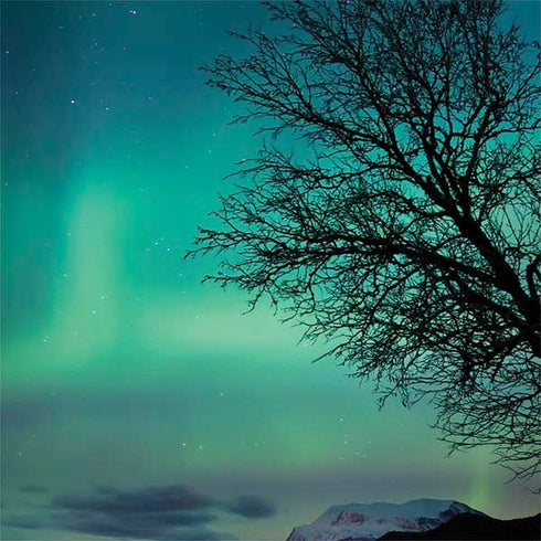 StockTrek Aurora Borealis over a lake in Norway Galaxy Note 8 Skin