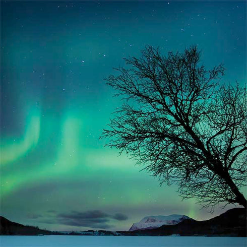 StockTrek Aurora Borealis over a lake in Norway Dell Inspiron Skin