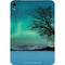 StockTrek Aurora Borealis over a lake in Norway Apple iPad Mini Skin