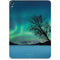 StockTrek Aurora Borealis over a lake in Norway Apple iPad Pro Skin