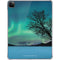 StockTrek Aurora Borealis over a lake in Norway iPad Pro 11in (2024) Clear Case