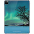 StockTrek Aurora Borealis over a lake in Norway iPad Pro 11in (2024) Clear Case