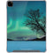 StockTrek Aurora Borealis over a lake in Norway iPad Pro 12.9in (2020) Clear Case