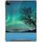 StockTrek Aurora Borealis over a lake in Norway iPad Cases