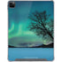 StockTrek Aurora Borealis over a lake in Norway iPad Cases