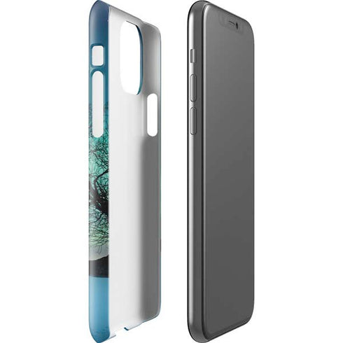 StockTrek Aurora Borealis over a lake in Norway iPhone 11 Pro Lite Case