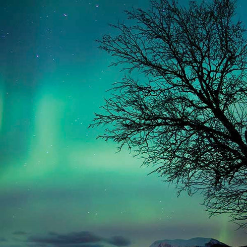 StockTrek Aurora Borealis over a lake in Norway iPhone X Skin