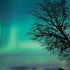 StockTrek Aurora Borealis over a lake in Norway iPhone X Skin