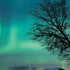 StockTrek Aurora Borealis over a lake in Norway iPhone XR Pro Case