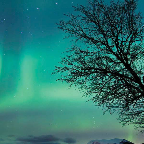 StockTrek Aurora Borealis over a lake in Norway iPhone XS Max Skin