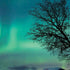 StockTrek Aurora Borealis over a lake in Norway iPhone XS Pro Case