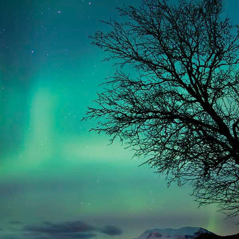 StockTrek Aurora Borealis over a lake in Norway Moto G6 Skin
