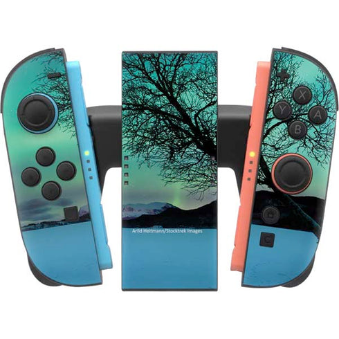 StockTrek Aurora Borealis over a lake in Norway Nintendo Switch 2 (2025) Joy-Con Controller Skin