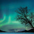 StockTrek Aurora Borealis over a lake in Norway PlayStation 4 Gold Wireless Headset Skin