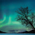 StockTrek Aurora Borealis over a lake in Norway HP Spectre Skin