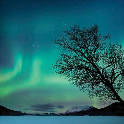 StockTrek Aurora Borealis over a lake in Norway Surface Book 2 13.5in Skin