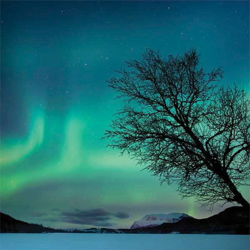 StockTrek Aurora Borealis over a lake in Norway Surface Book 2 15in Skin