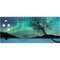 StockTrek Aurora Borealis over a lake in Norway Xbox Adaptive Controller Skin