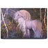 Autumn Glow Unicorn by Laurie Prindle Dell Latitude Skin