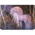 Autumn Glow Unicorn by Laurie Prindle Apple MacBook Air Skin