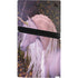 Autumn Glow Unicorn by Laurie Prindle PS5 Pro Console Skin