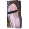 Autumn Glow Unicorn by Laurie Prindle PS5 Pro Disk Console Skin