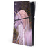 Autumn Glow Unicorn by Laurie Prindle PlayStation PS5 Skins