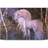 Autumn Glow Unicorn by Laurie Prindle Dell XPS Skin