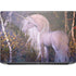 Autumn Glow Unicorn by Laurie Prindle HP ZBook Fury 16 G10 Skin