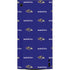 NFL Baltimore Ravens Blitz Series XBox Series X Digital Edition Console Skin