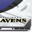 NFL Baltimore Ravens Dell Precision Skin