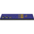 NFL Baltimore Ravens Purple Performance Series Galaxy Skins