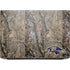 NFL Baltimore Ravens Realtree AP Camo HP ZBook Fury 16 G10 Skin