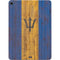 Barbados Flag Dark Wood Apple iPad Air Skin