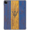 Barbados Flag Dark Wood iPad Pro 11in (2024) Clear Case