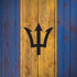Barbados Flag Dark Wood Moto G6 Skin