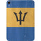 Barbados Flag Distressed Apple iPad Mini Skin