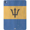 Barbados Flag Distressed iPad Pro 13in M4 (2024) Skin