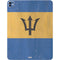 Barbados Flag Distressed iPad Pro 13in M4 (2024) Skin