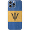 Barbados Flag Distressed iPhone 16 Pro Max Skin
