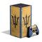 Barbados Flag Distressed XBox Series X Digital Edition Bundle Skin