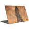 Barbarian by Frazetta MacBook Skins