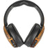 Barbarian by Frazetta Skullcandy Venue Skin