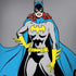DC Comics Batgirl Classic Art Pose Moto G6 Skin