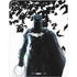 DC Comics Batman Holding batarang Art iPad Pro 13in M4 (2024) Skin