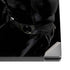 DC Comics Batman in Black Dell XPS Skin