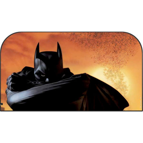 DC Comics Batman Begins Art Nintendo Switch 2 (2025) with Joy-Con Skin